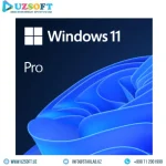 Windows 11 Pro