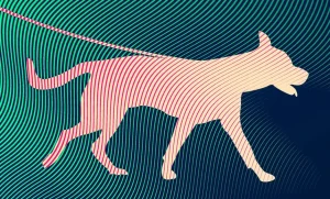 DogWalk и другие уязвимости