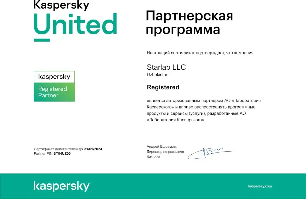 Kaspersky partner